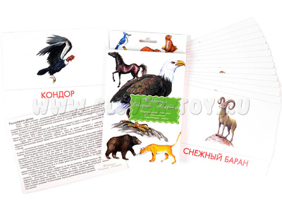 Дидактические карточки "Животные Северной Америки"