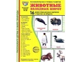 Демонстрационные картинки СУПЕР. Животные холодных широт (16 шт.) в папке.